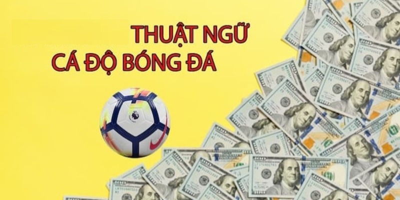 Kèo Thẻ Phạt Fun88 - Hướng Dẫn Chi Tiết, Mẹo Chơi Và Kinh Nghiệm Bất Bại 3 Kèo Thẻ Phạt